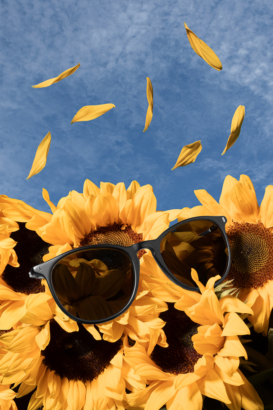 Fotografia de produto; Óculos de sol