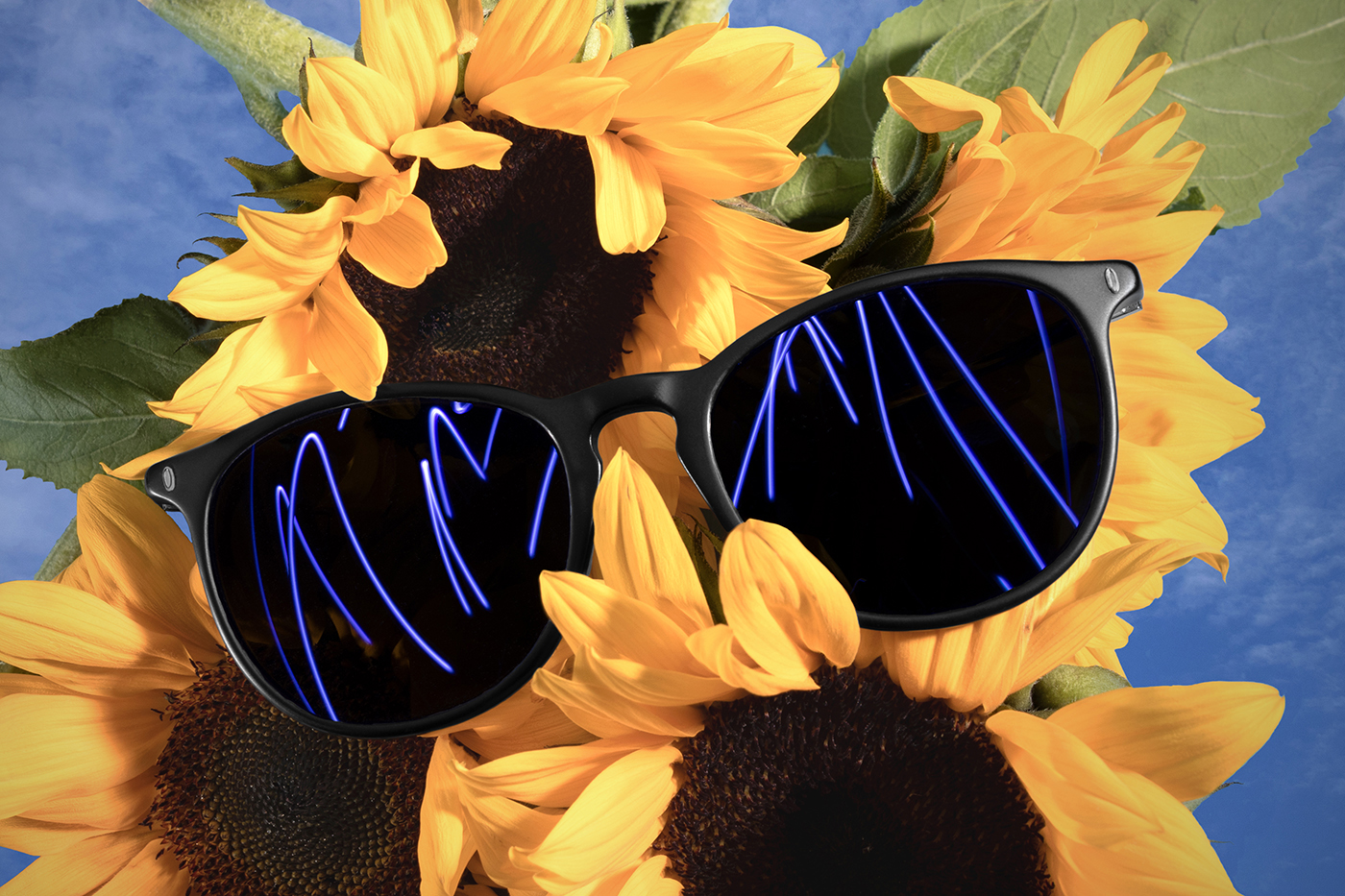 Fotografia de produto; Óculos de sol